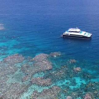 Calypso Outer Great Barrier Reef Cruise from Port Douglas 3