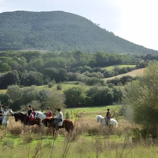 Horseback Riding in Randa Valleys, Mallorca, Spain 1