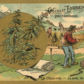 Hash Marihuana & Hemp Museum: Entrada + Guía de audio 5