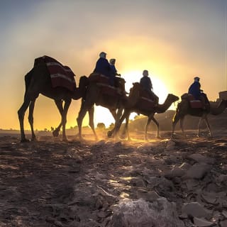 Promenade à dos de chameau dans les palmeraies de Marrakech 15
