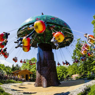 Familypark im Burgenland 3
