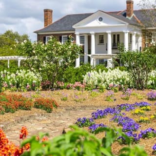 Boone Hall Plantation All-Access Admission Ticket 14