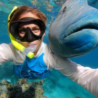 Calypso Outer Great Barrier Reef Cruise from Port Douglas 4