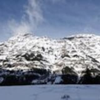Yellowstone National Park Audio Driving Tour 12