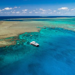 Calypso Outer Great Barrier Reef Cruise from Port Douglas 5