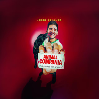Animal de Compañía en Bargas 1