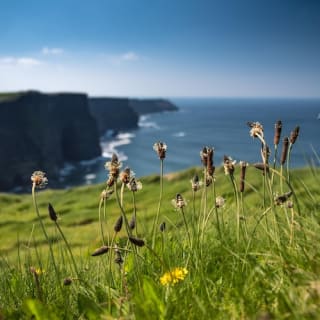 Galway to Cliffs of Moher Bus: Half-Day Express Tour 2