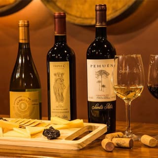 Santa Rita Winery Premium Tour 3