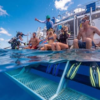 Calypso Outer Great Barrier Reef Cruise from Port Douglas 7