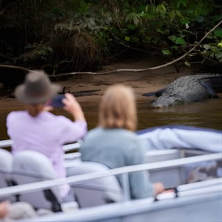 Daintree River 'Dawn' Cruise with the Daintree Boatman 16