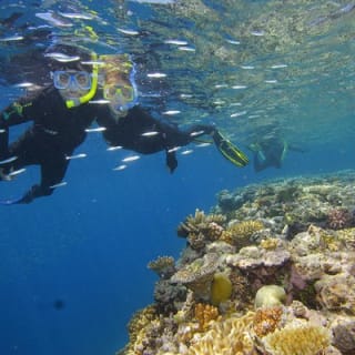 Calypso Outer Great Barrier Reef Cruise from Port Douglas 8