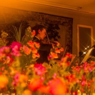 Candlelight Spring: 時代を超えて愛されるクラシック名曲集 6