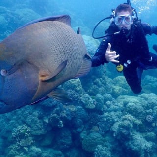 Calypso Outer Great Barrier Reef Cruise from Port Douglas 10