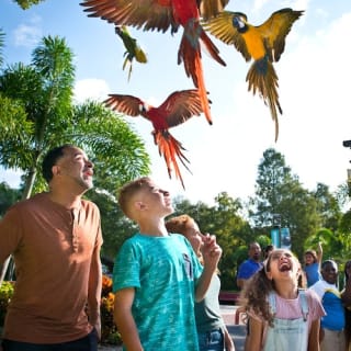 ZooTampa: Fast Track Admission 11