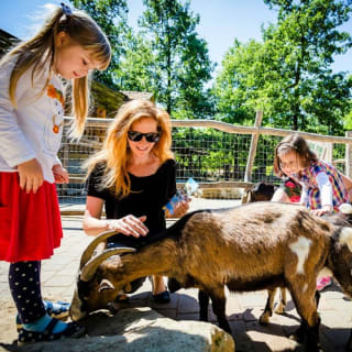 Familypark im Burgenland 5
