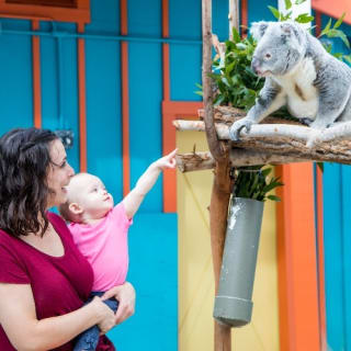 ZooTampa: Fast Track Admission 12