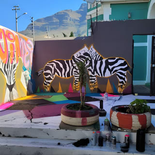 Cape Town Khayelitsha Township Tour 18