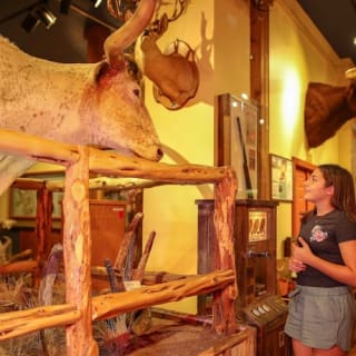 Buckhorn Saloon & Museum: Einzelticket 10