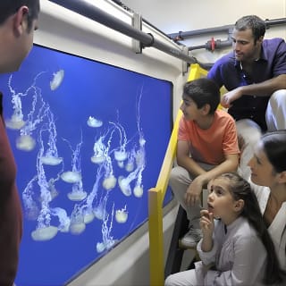 Fish Tales Lost Chambers Tour 2