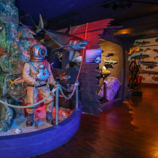 Buckhorn Saloon & Museum: Einzelticket 11