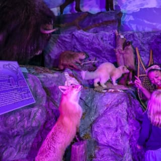 Buckhorn Saloon & Museum: Einzelticket 13