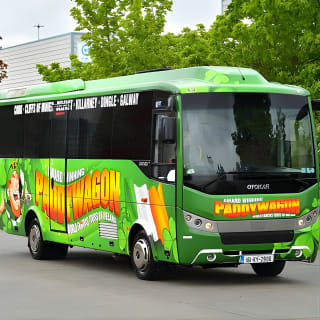 Ring of Kerry Day Tour from Limerick: Including Killarney National Park 17