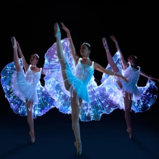 We call it Ballet: A Bela Adormecida, um Espetáculo de Dança e Luzes 5