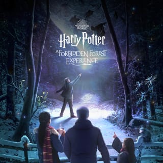 Harry Potter: A Forbidden Forest Experience 1