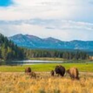 Yellowstone National Park Audio Driving Tour 18