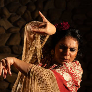 Flamenco authentique au El Gallo Ronco 2