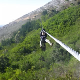 Zipline Cape Town - From Foot of Table Mountain Reserve  13