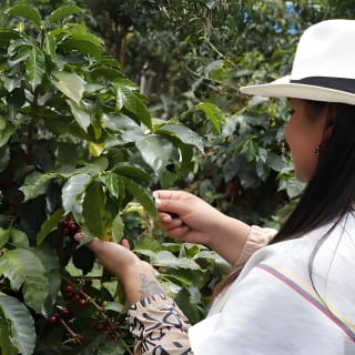 Kaffee-Farm-Tour von Bogotá – Sei einen Tag lang Farmer 10