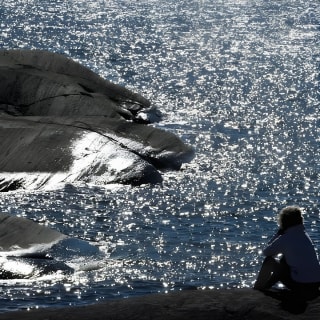 Redrib&nbsp;Archipelago&nbsp;Experience&nbsp; 7