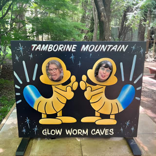 Premium Springbrook Natural Bridge, Glow Worm Cave & Skywalk 5