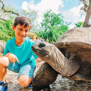 ZooTampa: Fast Track Admission 18