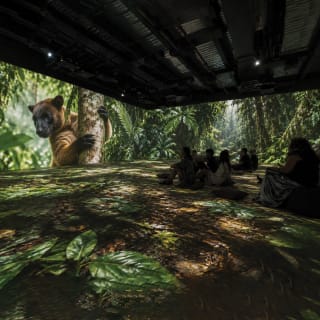 ‘Before We Disappear’, Digital Documentary Exhibition by Poliform 3