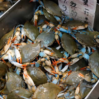 Chinatown Food Tour con uno Chef a Manhattan 4