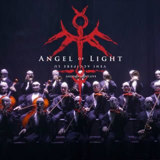 Angel of Light 3