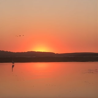 3-Hour Kayaking and Hiking in California’s Central Coast 17