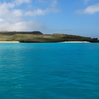 Day Trip to Santa Fe Island from Puerto Ayora 9