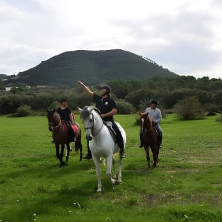Horseback Riding in Randa Valleys, Mallorca, Spain 2