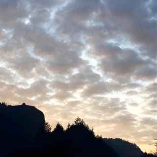 Explore Columbia River Gorge Half-Day Small-Group Tour  9