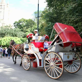 Offizielle Pferdekutschenfahrten in Central Park seit 1979 ™ 3
