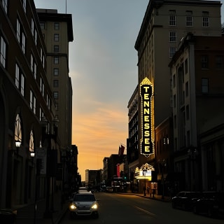 Downtown Knoxville Hidden Tour w/ Ice Cream, Coffee & Tennessee River Gems 5