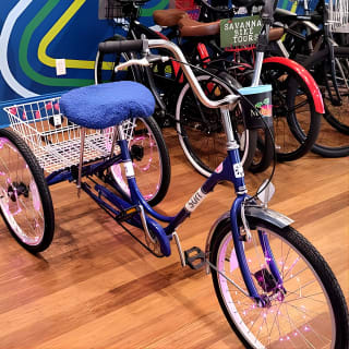 2-Hour Explore Savannah Bike Tour 3