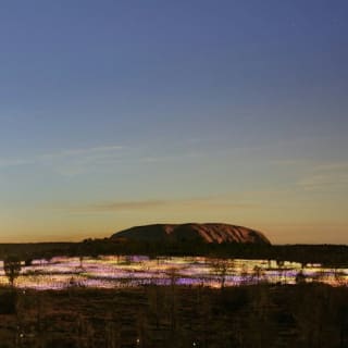 Field of Light Uluru: Star Pass 3