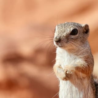 Valley of Fire: Guided Sunset Tour from Las Vegas 3