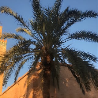 Cours de photographie unique à Marrakech 19