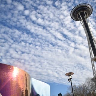 Seattle Center & Space Needle: Tour Guiado Caminando 6