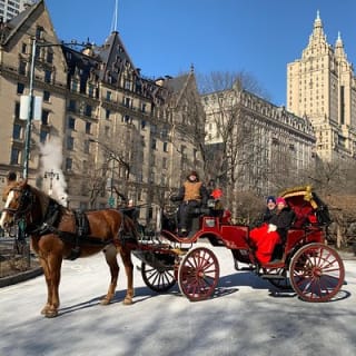 Offizielle Pferdekutschenfahrten in Central Park seit 1979 ™ 7